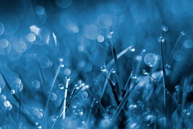 Hd Landscape Images, Nature Backgrounds, Amazing Landscape ...