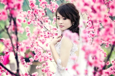 Pink Girly Wallpapers   3 Items