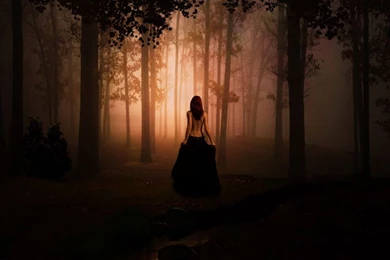 Scary Woods Backgrounds, Wallpaper, Scary Woods Backgrounds Hd ...