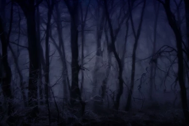 Gallery For   Scary Cartoon Forest Backgrounds