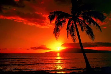 Wallpaper: Island Sunset Wallpapers