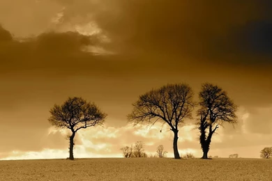 Desktop Wallpapers · Gallery · HD Notebook · Will Rain Sunset ...