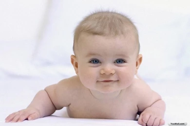 Scott Weakley: Sweet Baby