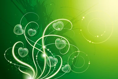 1920x1200 Green Heart Leaves & Sunlight Desktop PC And Mac Wallpapers