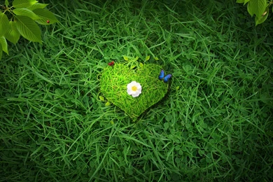 Green Heart By OniRespect On DeviantArt