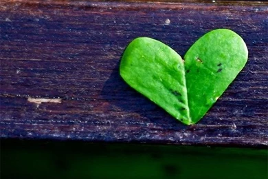 Green Heart Leaf iPhone 5 Wallpapers (640x1136)