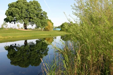 Landscape Wallpapers   Crazy Frankenstein