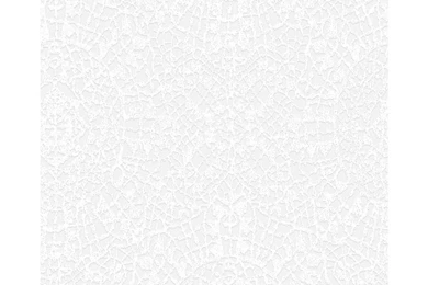 Wilko Lace Paintable Textured Wallpapers 10 158