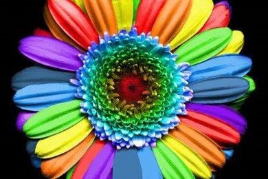 Gay Respect Thread   Off Topic   Comic Vine