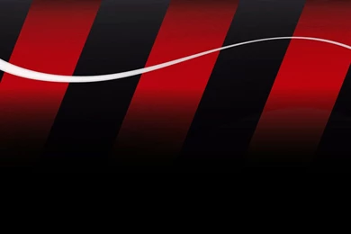 Bilancio Gruppo Milan 2011