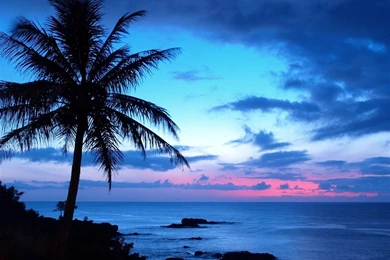 Seychelles Beach Sunset   Wallpaper.