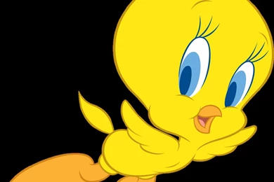 Tweety Bird Wallpapers   Wallpapers Cave