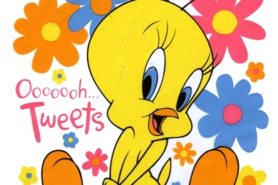 Tweety Cartoon Wallpapers   Wallpapers Cave