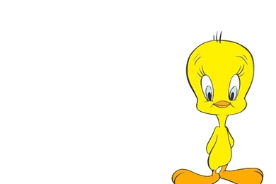 Tweety Bird Wallpapers : Wallpapers 3