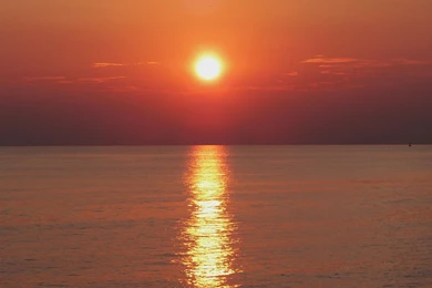 Grass Wallpapers Cool $8008   Web Design