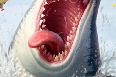 Funny Shark Quotes. QuotesGram