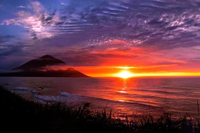 Magnificent Nature   1785953