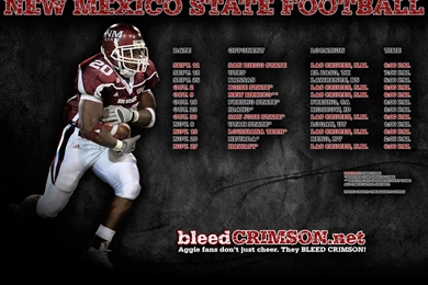 2010 BleedCrimson.net Football Wallpapers