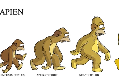 Homer Simpson, Evolution, The Simpsons :: Wallpapers