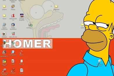 Homer Simpson Wallpapers   Download