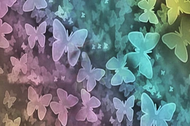 Butterfly Wallpapers By LGarma On DeviantArt