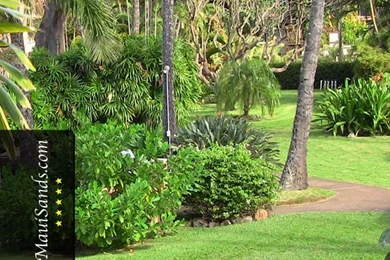 Hawaii Wallpapers From Maui Sands