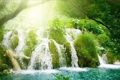 Rainforest Waterfall Wallpapers 4