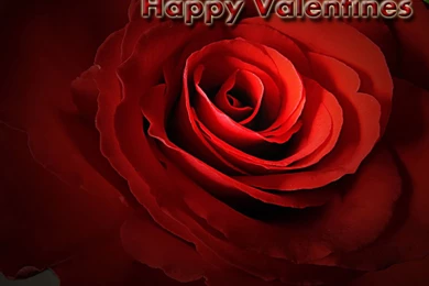 Valentine Day Wallpapers