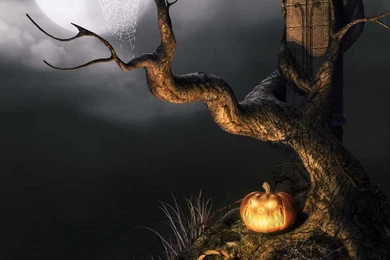 Download Mobile Wallpaper: Holidays, Halloween, Pumpkin, Free. 13182.