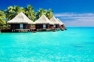 Tropical Wallpapers 20   Best Wallpapers Collection