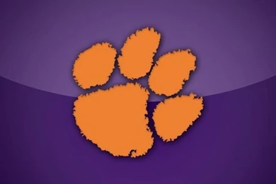 Purple Clemson Tigers Wallpapers