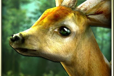 DualBoot Games' Latest Live Wallpapers Brings The Forest To Your ...