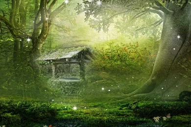 WHERE FAIRIES LIVE WALLPAPER (