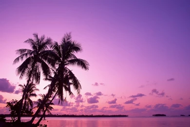 1280x1024 Pink Sunset Desktop PC And Mac Wallpapers