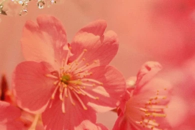 Samsung Galaxy Note 3 Wallpapers Full Screen