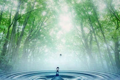 Cartoon Bear And Heart Mobile Phone Wallpapers 128x128 Phone Hd ...