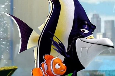 Hd Wallpapers Of Nemo For Android Mobile Full Screen