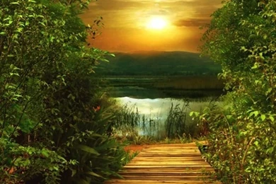 Studio Backgrounds Psd Files Free Download 2015   Sleek Business ...