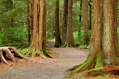 Super_hd_desktop _wallpaper _big _size 1024x640.jpg