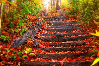 38 Beautiful Wallpapers In High Resolution For Free Download