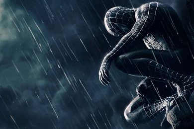 Spider Man HD Wallpapers   Wallpapers Cave