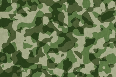 Military Camouflage Pattern
