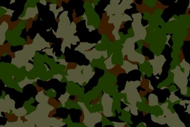 Camouflage On Pinterest