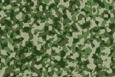 Military Camouflage Pattern