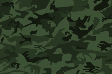 Camouflage: September 2010