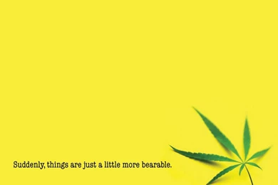 Everything Is Bearable With Weed