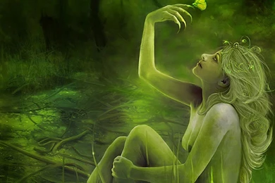 Butterflies Live Wallpapers   Wallpapers HD Fine