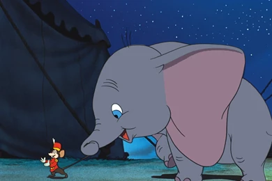 Dumbo Baby Elephant   Wallpaper.