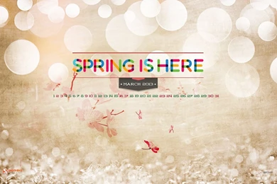 In January Calendar Wallpapers 32236   Calendar Wallpapers   Cartoon ...