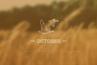 October 2013 Desktop Calendar Wallpapers